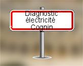 Diagnostic électrique à Cognin
